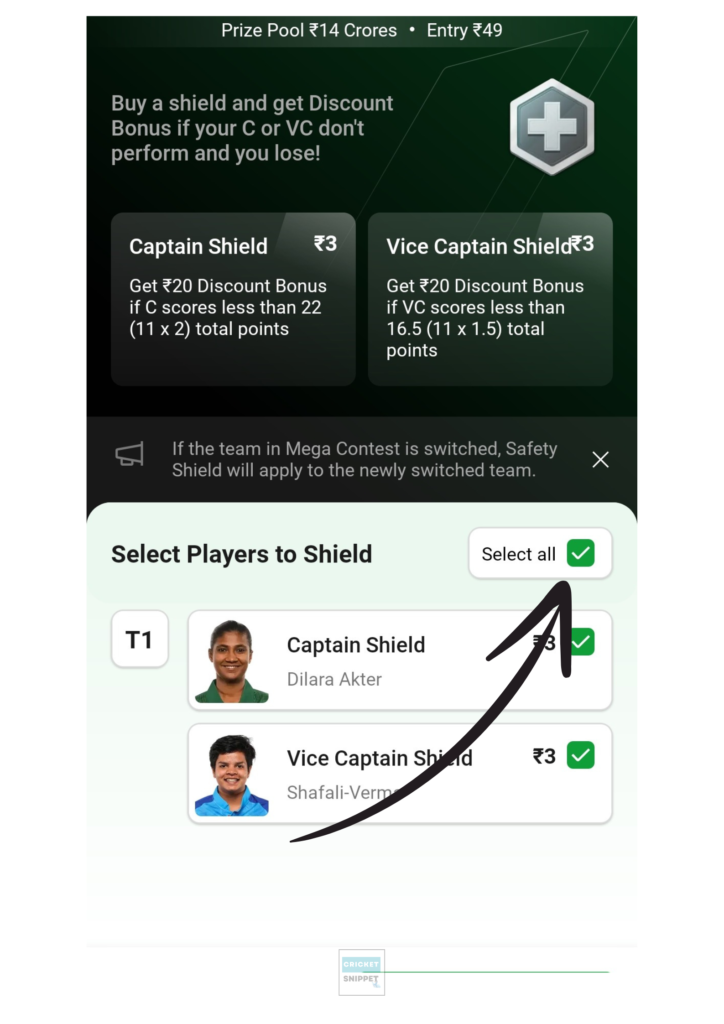 Dream11 Safety Shield